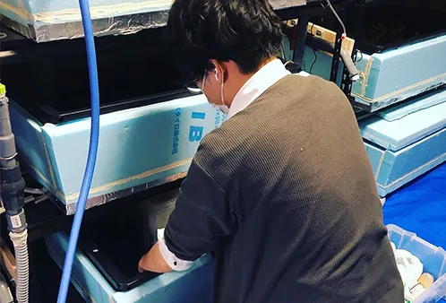 変化し続けるりすたーと農業部